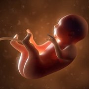 Człowiek od środka - galeria zdjęć - filmweb