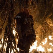 The Last Witch Hunter - galeria zdjęć - filmweb