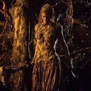 The Last Witch Hunter - galeria zdjęć - filmweb