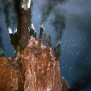Aliens of the Deep - galeria zdjęć - filmweb