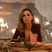 Follemente. W tym szaleństwie jest metoda - galeria zdjęć - filmweb