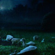 Liczy się tylko przeszłość - galeria zdjęć - filmweb