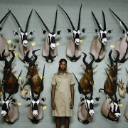 Ein film von Ulrich Seidl