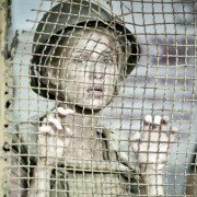 Avgust. Vosmogo - galeria zdjęć - filmweb