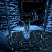 Perception - galeria zdjęć - filmweb