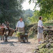 The Durrells - galeria zdjęć - filmweb