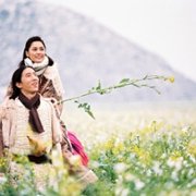 Ostrze róży - galeria zdjęć - filmweb