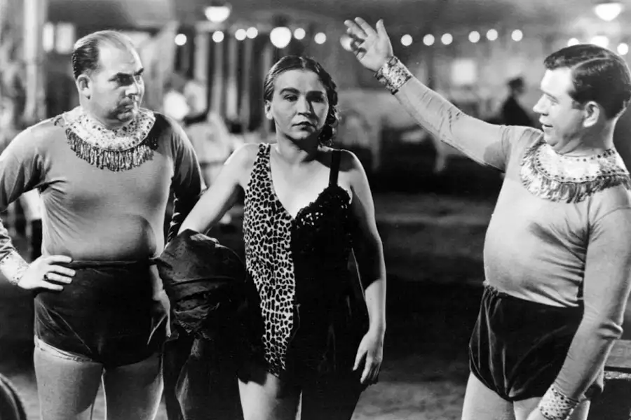 Dziwolągi - galeria zdjęć - filmweb