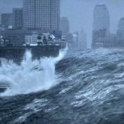 The Day After Tomorrow - galeria zdjęć - filmweb