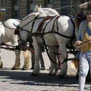 Les Adieux à la reine - galeria zdjęć - filmweb