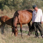 Zhila-byla odna baba - galeria zdjęć - filmweb