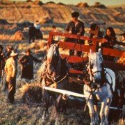 Days of Heaven - galeria zdjęć - filmweb