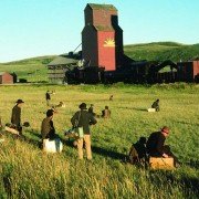 Days of Heaven - galeria zdjęć - filmweb