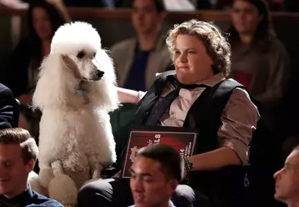 Glee - galeria zdjęć - filmweb
