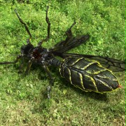Dragon Wasps - galeria zdjęć - filmweb