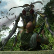 Dragon Wasps - galeria zdjęć - filmweb