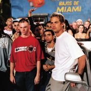 Za szybcy, za wściekli - galeria zdjęć - filmweb