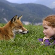 Le renard et l'enfant - galeria zdjęć - filmweb