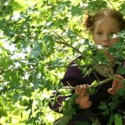 Le renard et l'enfant - galeria zdjęć - filmweb
