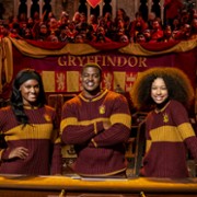 Harry Potter: Turniej Domów Hogwartu - galeria zdjęć - filmweb