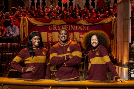 Harry Potter: Turniej Domów Hogwartu - galeria zdjęć - filmweb