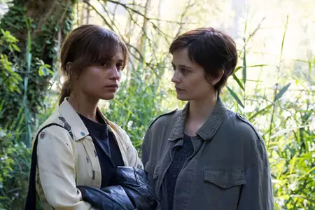 Euforia - galeria zdjęć - filmweb