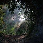 Euphoria - galeria zdjęć - filmweb
