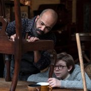 The Goldfinch - galeria zdjęć - filmweb