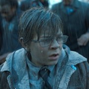 The Goldfinch - galeria zdjęć - filmweb