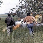 Les choses de la vie - galeria zdjęć - filmweb