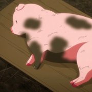 Buta no Liver wa Kanetsu Shiro - galeria zdjęć - filmweb