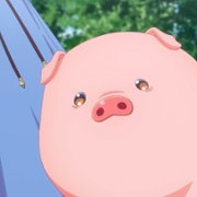 Buta no Liver wa Kanetsu Shiro - galeria zdjęć - filmweb