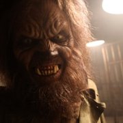 Creepshow - galeria zdjęć - filmweb