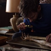 Creepshow - galeria zdjęć - filmweb