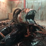 Creepshow - galeria zdjęć - filmweb