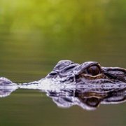Piękna Ameryka - galeria zdjęć - filmweb