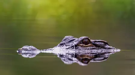 Piękna Ameryka - galeria zdjęć - filmweb
