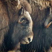 Piękna Ameryka - galeria zdjęć - filmweb