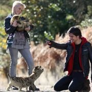 Primeval - galeria zdjęć - filmweb