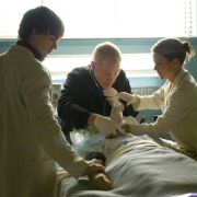 Medical Investigation - galeria zdjęć - filmweb