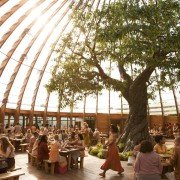 Insurgent - galeria zdjęć - filmweb