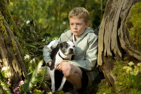 Jak dogonić szczęście - galeria zdjęć - filmweb