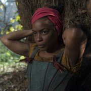 The Book of Negroes - galeria zdjęć - filmweb