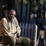 The Book of Negroes - galeria zdjęć - filmweb
