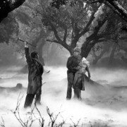 The Wolf Man - galeria zdjęć - filmweb