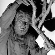 The Wolf Man - galeria zdjęć - filmweb