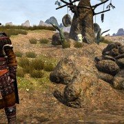 Age of Conan: Narodziny Zabójcy Bogów - galeria zdjęć - filmweb