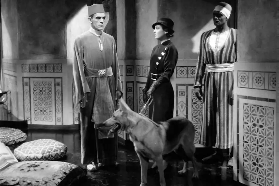 Mumia - galeria zdjęć - filmweb