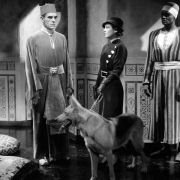 The Mummy - galeria zdjęć - filmweb