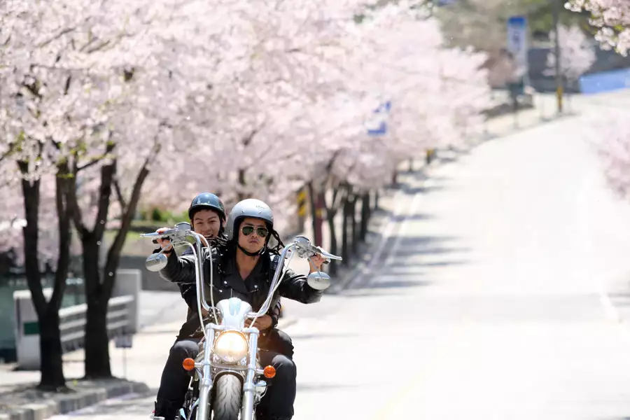 Beodibeodi - galeria zdjęć - filmweb